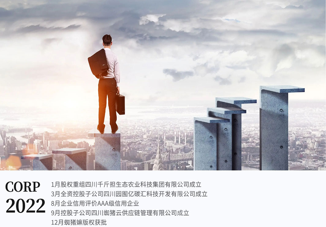 banner-slider