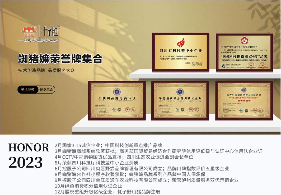 banner-slider