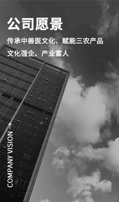 公司愿景