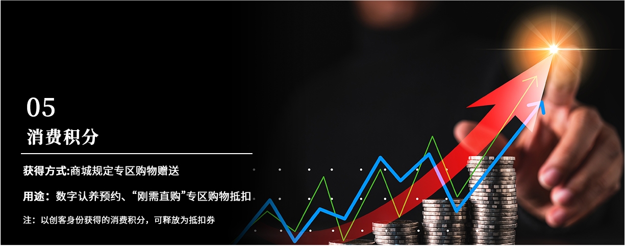 消费积分