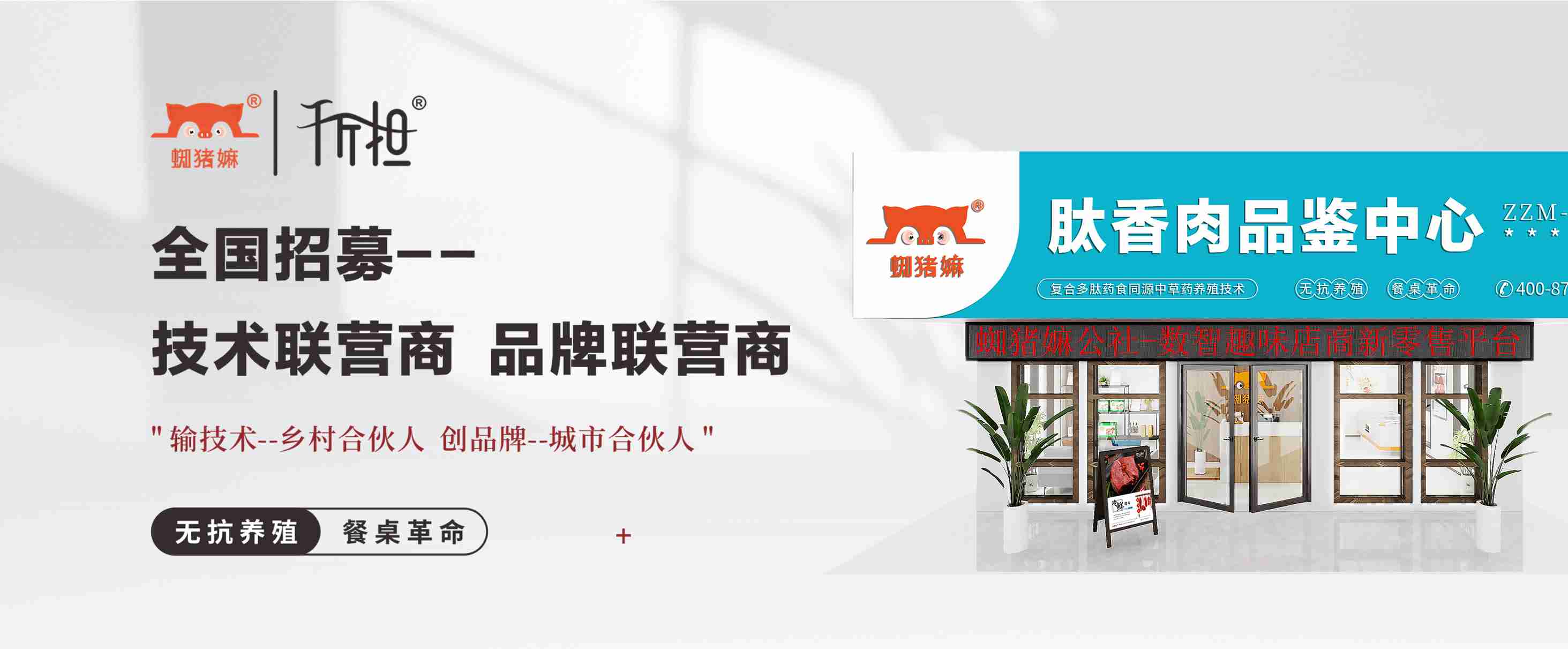 banner-slider