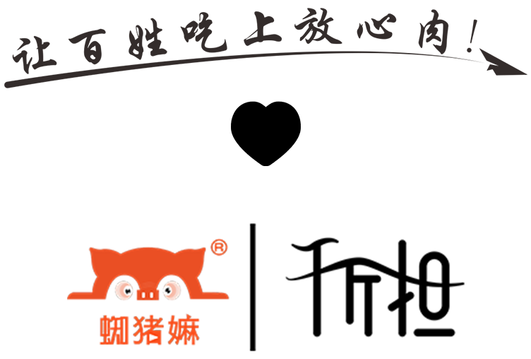 公众号